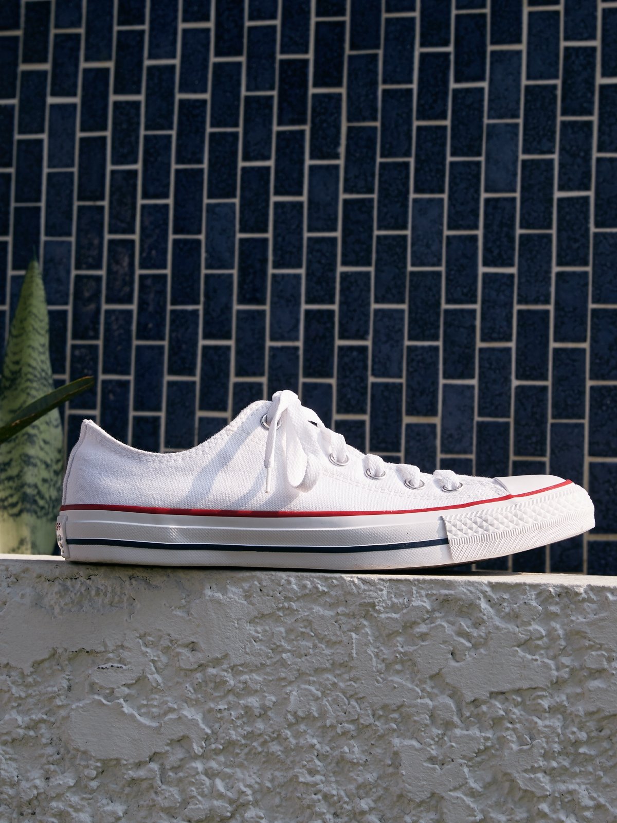 Grey all star peached canvas ox trainers store