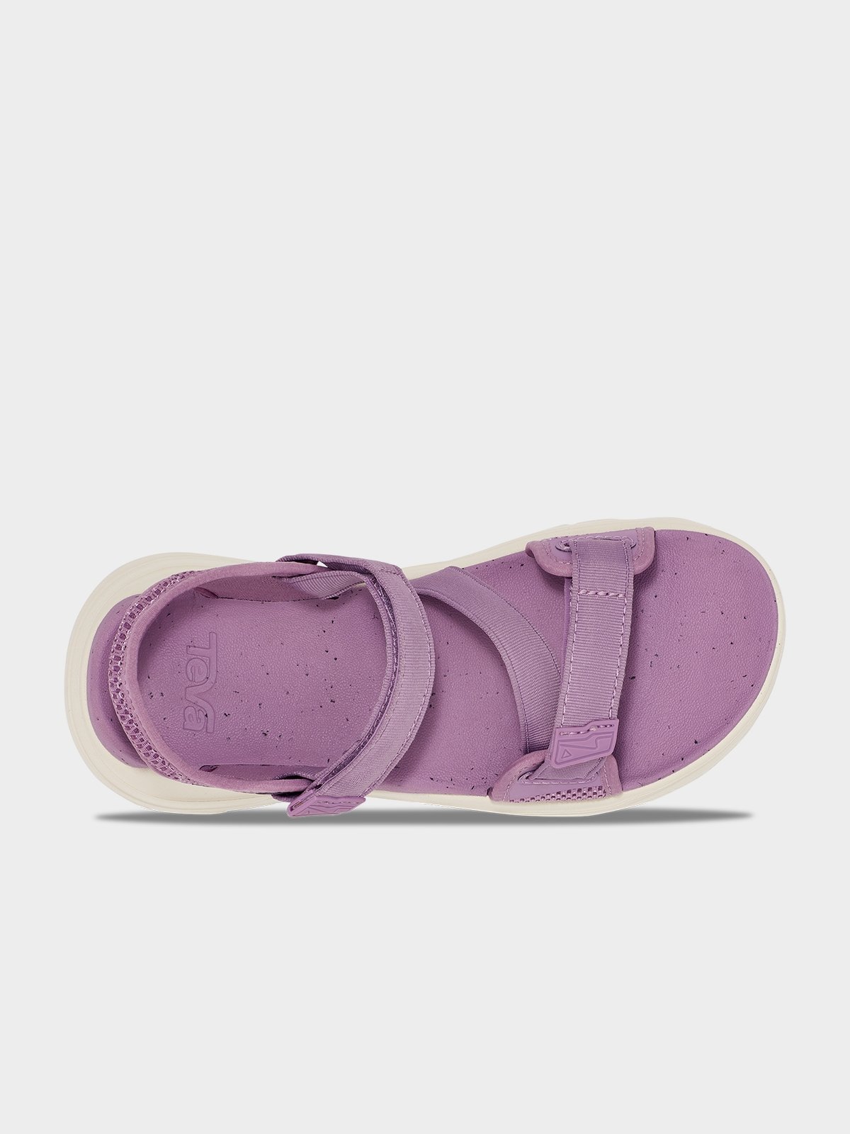 Lavender tevas store