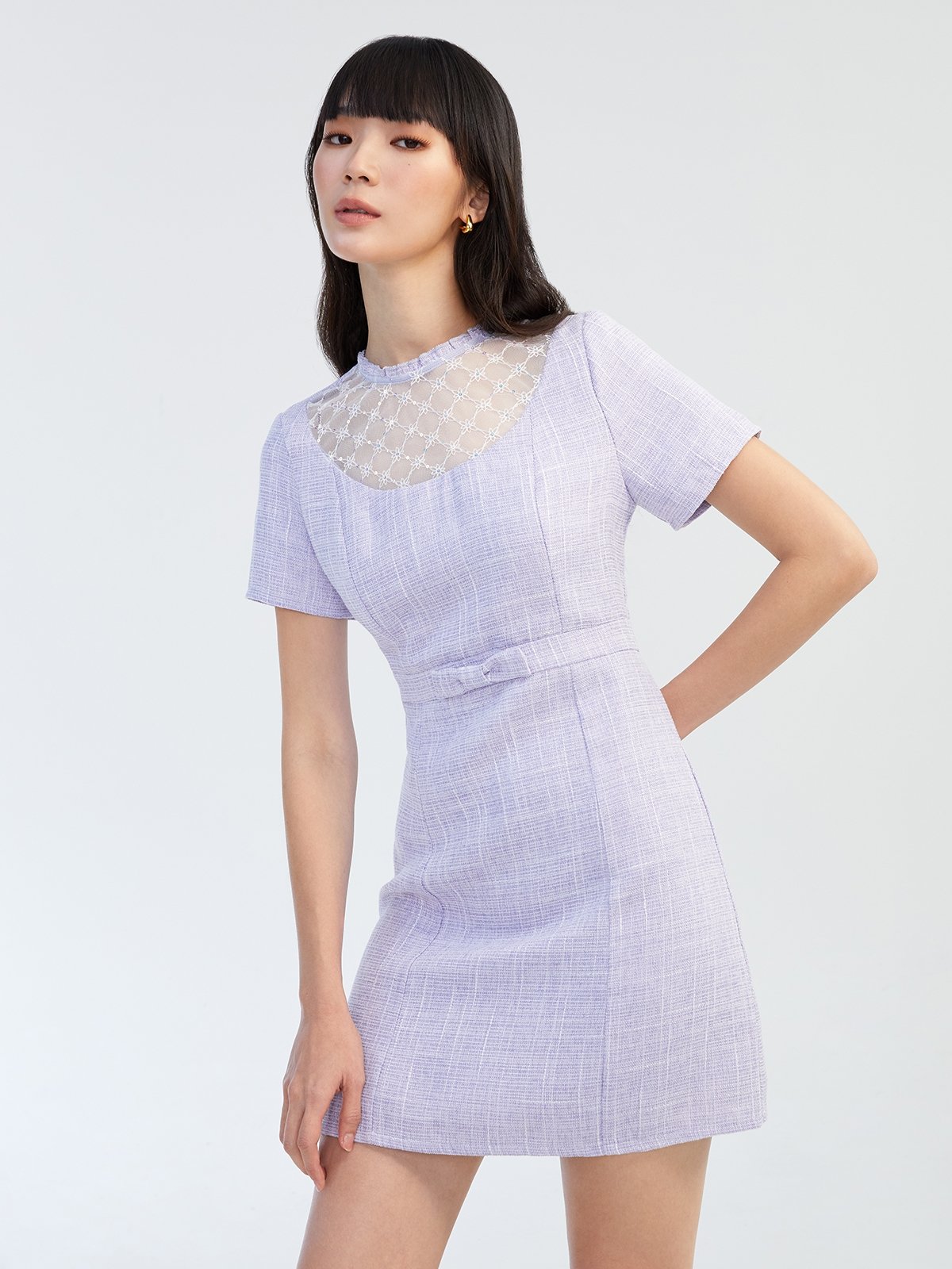 Semi SeeThrough Mini Dress Purple Pomelo Fashion