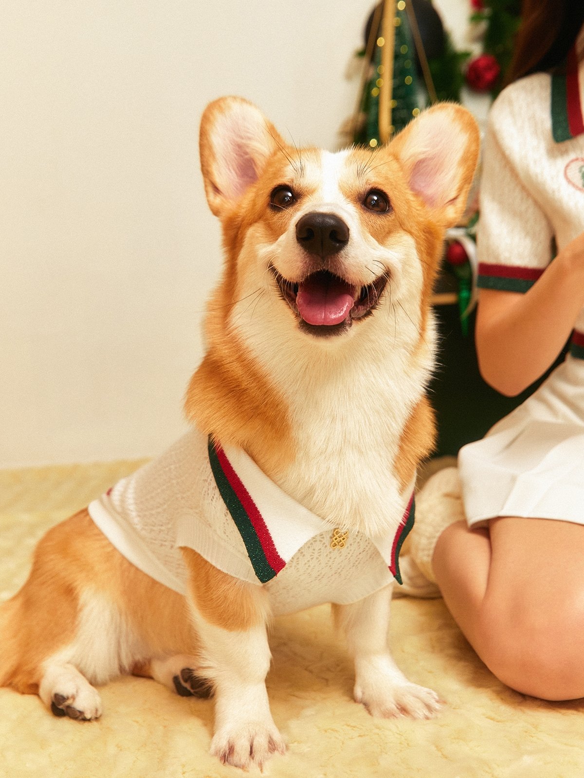Pawmelo Dog and Cat Santa Paws Jumper White Pomelo Fashion